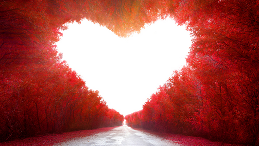Dear Beloved, Love Is...