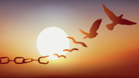 How To Let Go of the Past