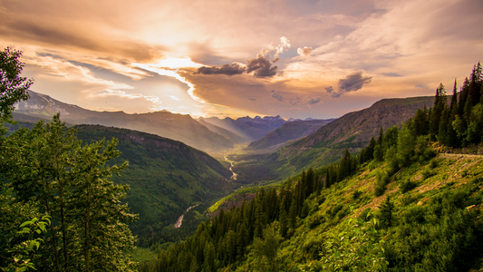 How To Grow In The Valley
