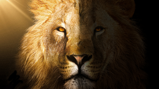Staying Silent and Stoic During An Injustice
